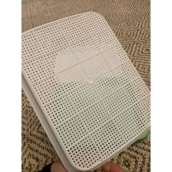 4 Pcs Seed Sprouter Tray with Drain Holes for Microgreens Growing Kit - Picture 16 of 16